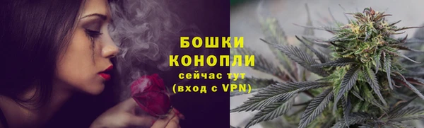 apvp Арсеньев