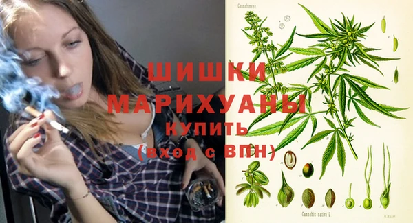 ГАЛЛЮЦИНОГЕННЫЕ ГРИБЫ Баксан