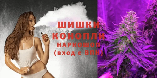 ГАЛЛЮЦИНОГЕННЫЕ ГРИБЫ Баксан