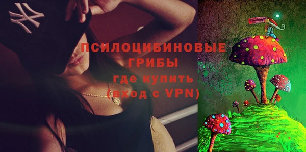 apvp Арсеньев