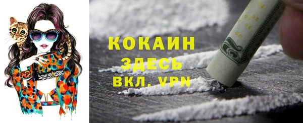 apvp Арсеньев