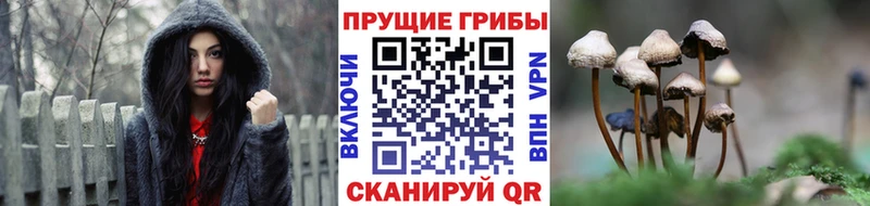 Псилоцибиновые грибы ЛСД  Зима 